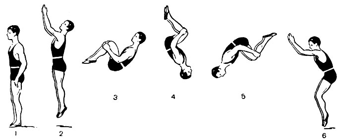 Рис. 2. Заднее сальто-мортале с места. Схема последовательных положений: 1 - исходное положение, 2 - прыжок вверх, группировка и начало крутки, 4 - крутка, 5 - продолжение крутки, 6 - приход